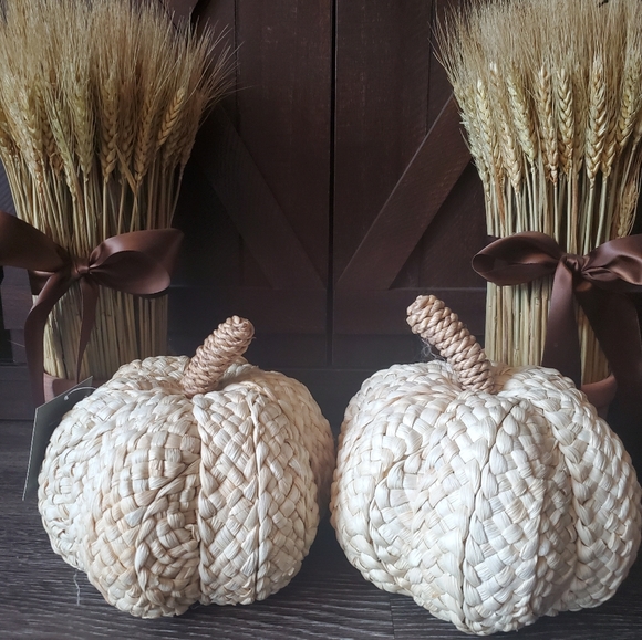 woven corn husk pumpkin set home decor thanksgiving